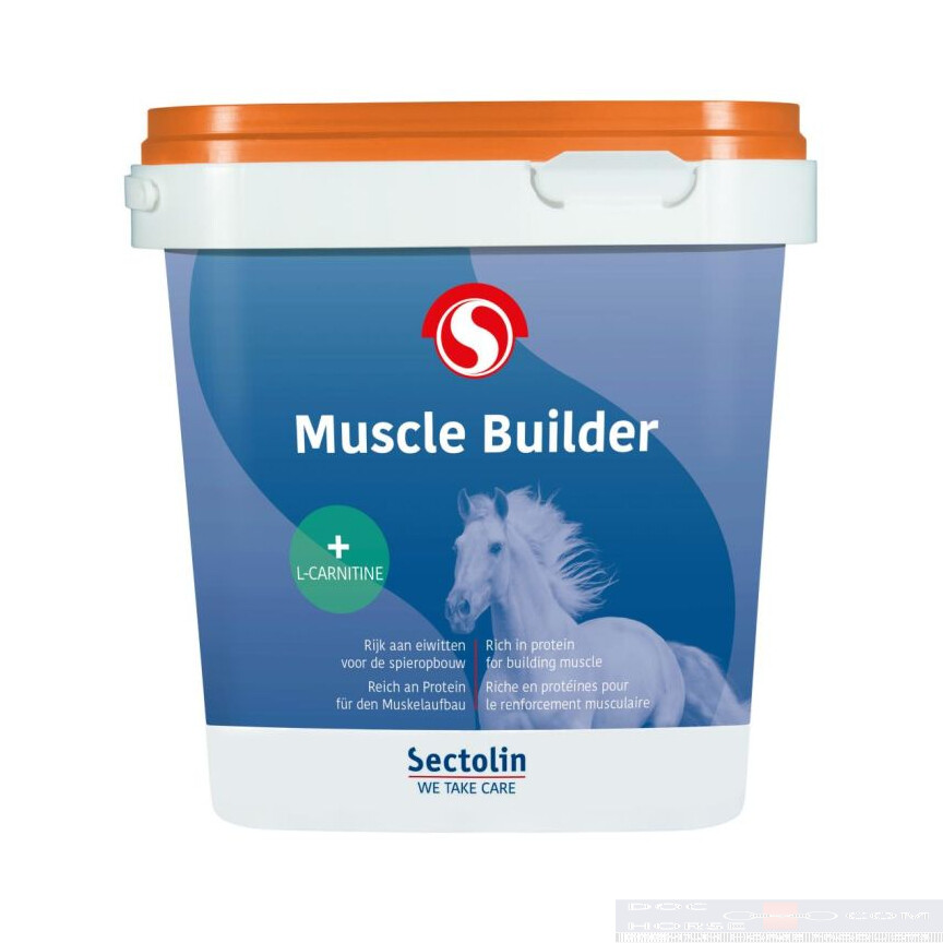 Sectolin Muscle Builder
