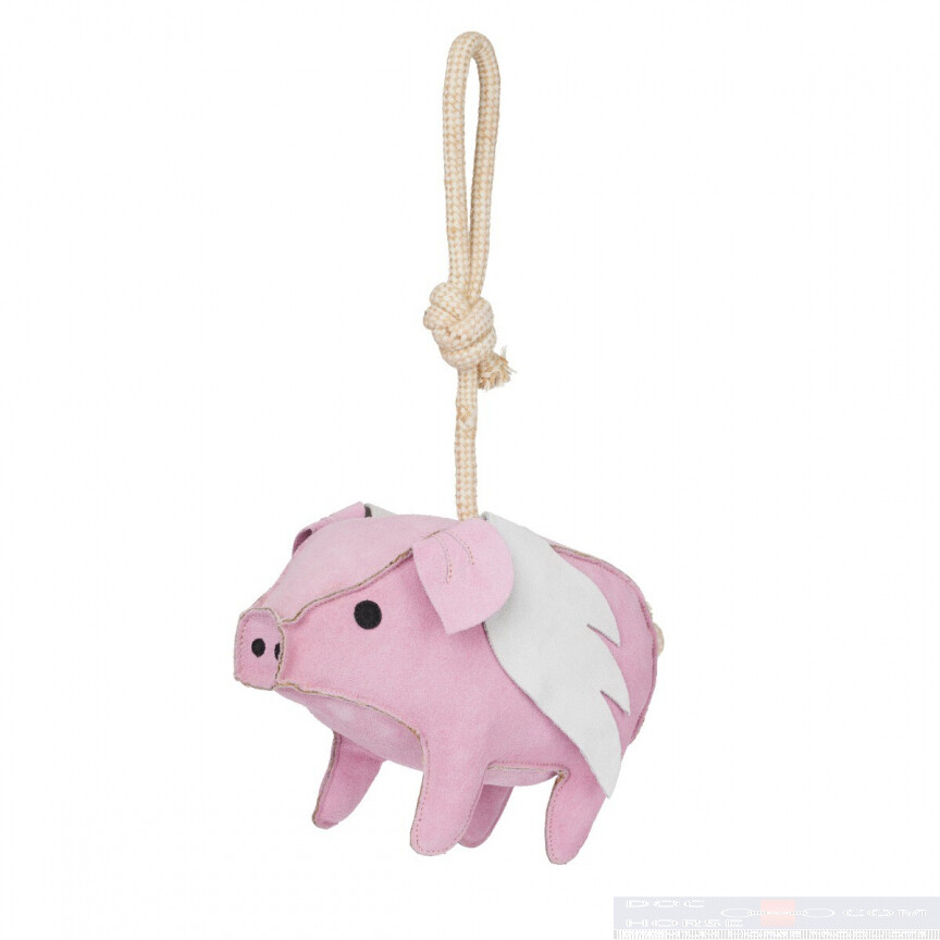 lemieux flying pig