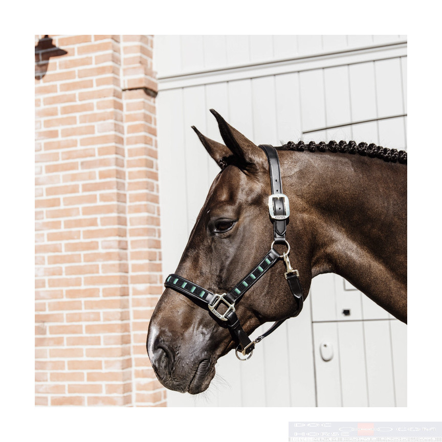 Kentucky Halster Pearls