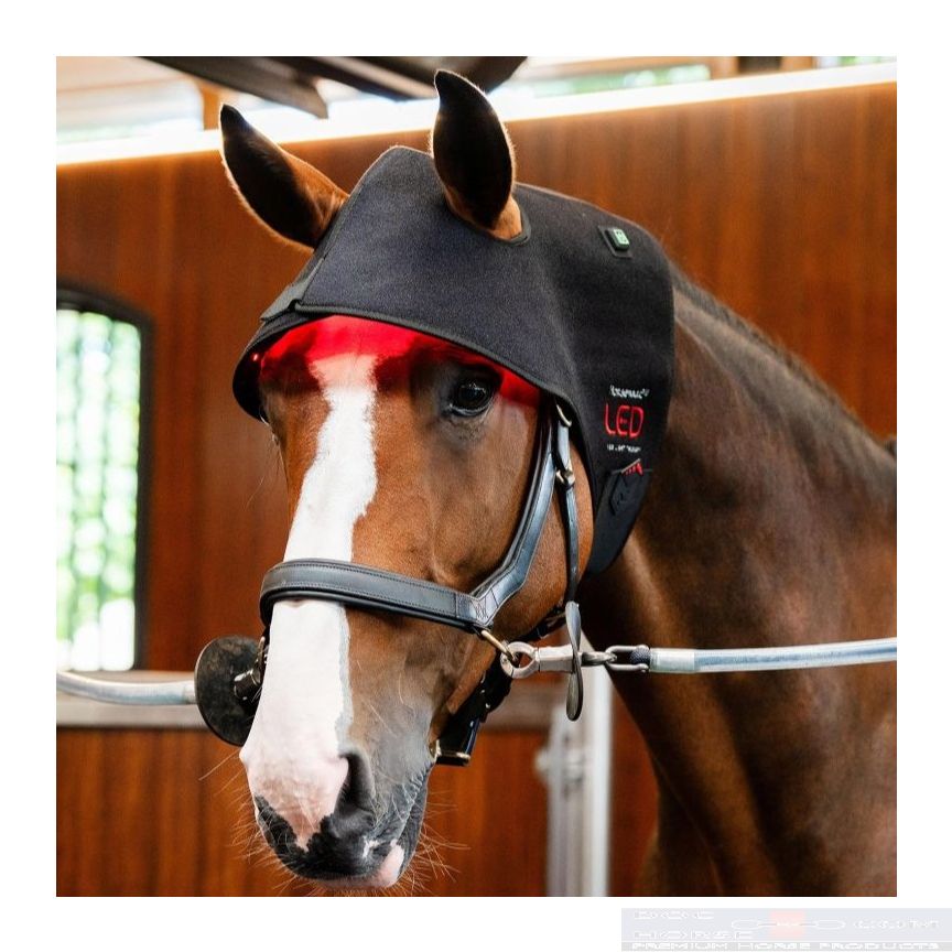 Horseware Therapy Cap LED Red Light