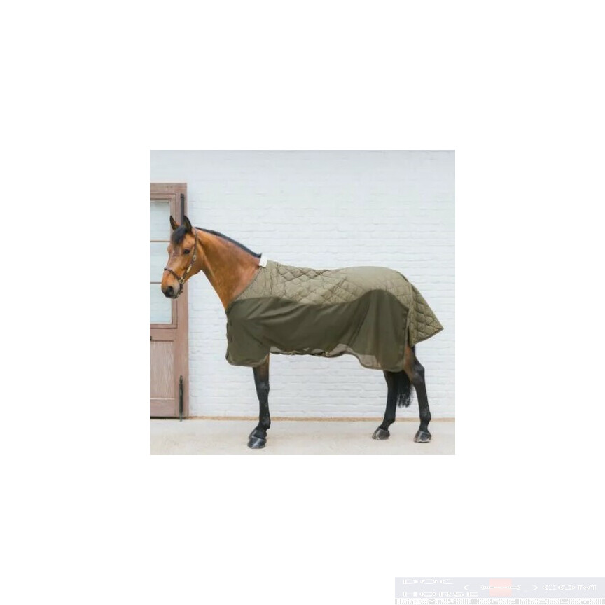 Kentucky Transport Combo Cooler Fleece Pine Green