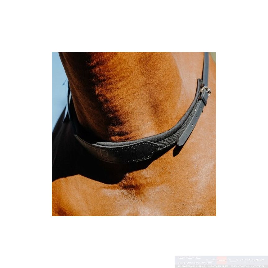 Norton Bareback Neckrope