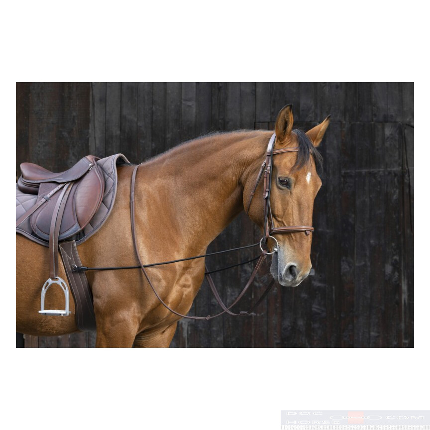 Norton Elastic Training Reins