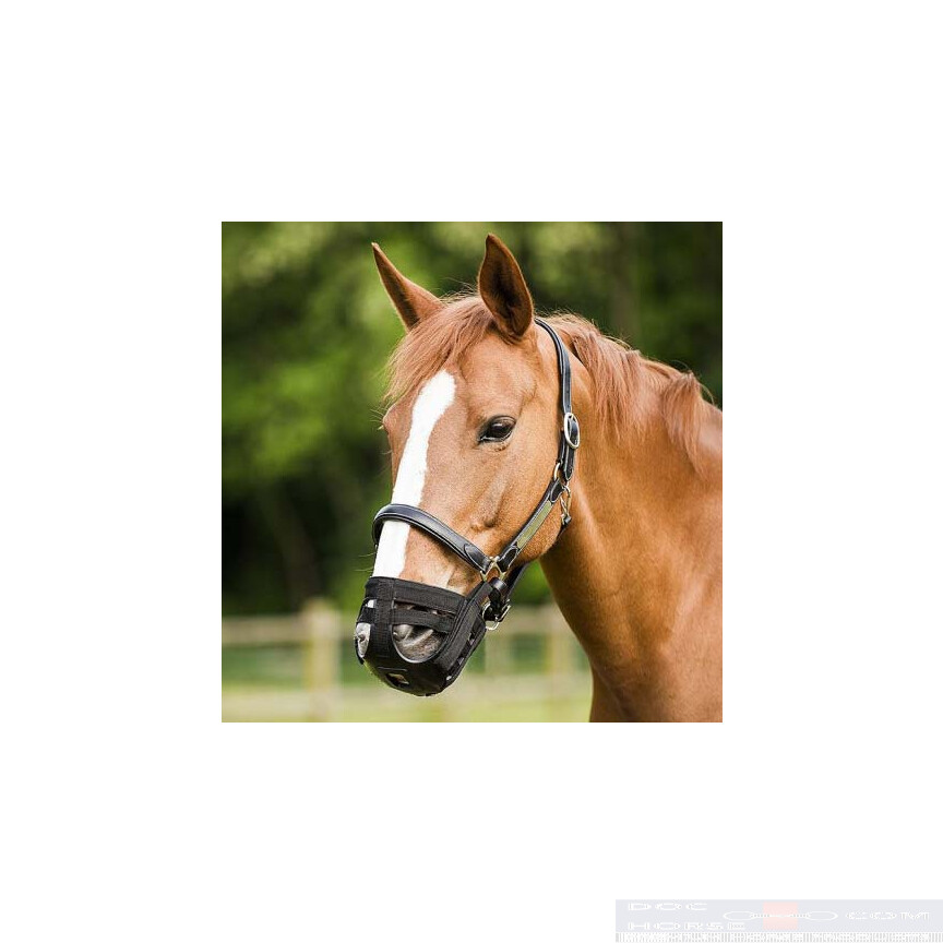 Norton Graasmasker
