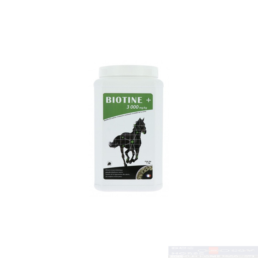 ODM Biotin+ 1000GR