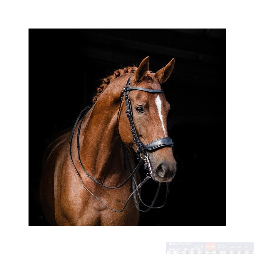 Presteq Stang & Trens Hoofdstel FayPerform