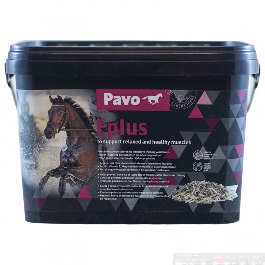 Pavo Eplus