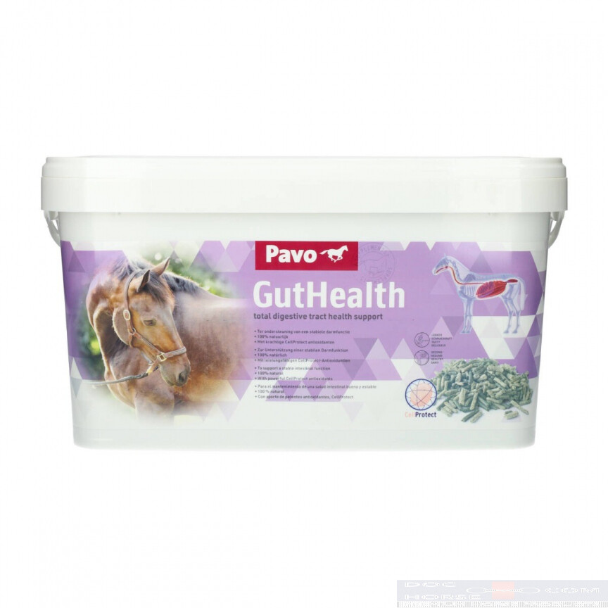 Pavo Guthealth
