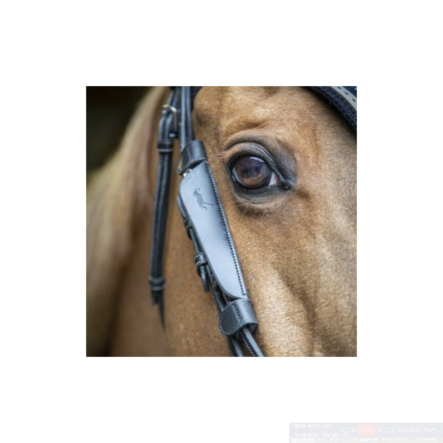 Penelope Blinkers Black