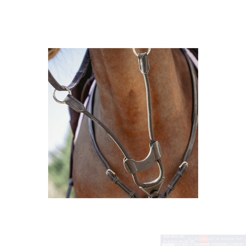 Penelope Martingale Fork Elastic Black