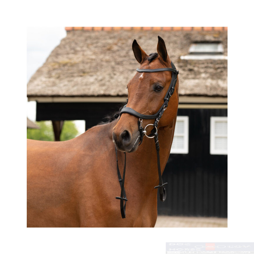 PresTeq Hoofdstel Faysport TESTER