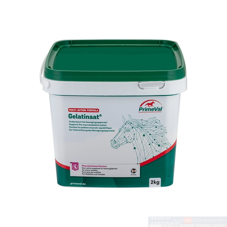 Primeval Gelatinaat