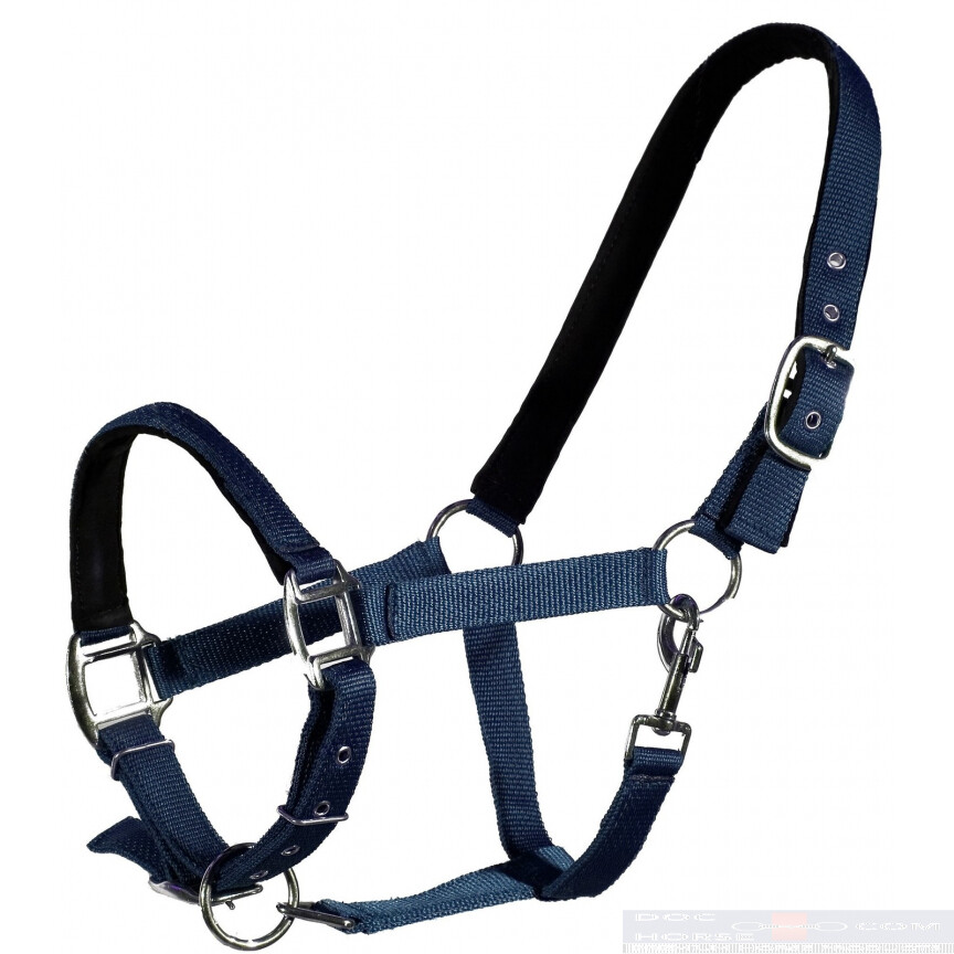 QHP head collar