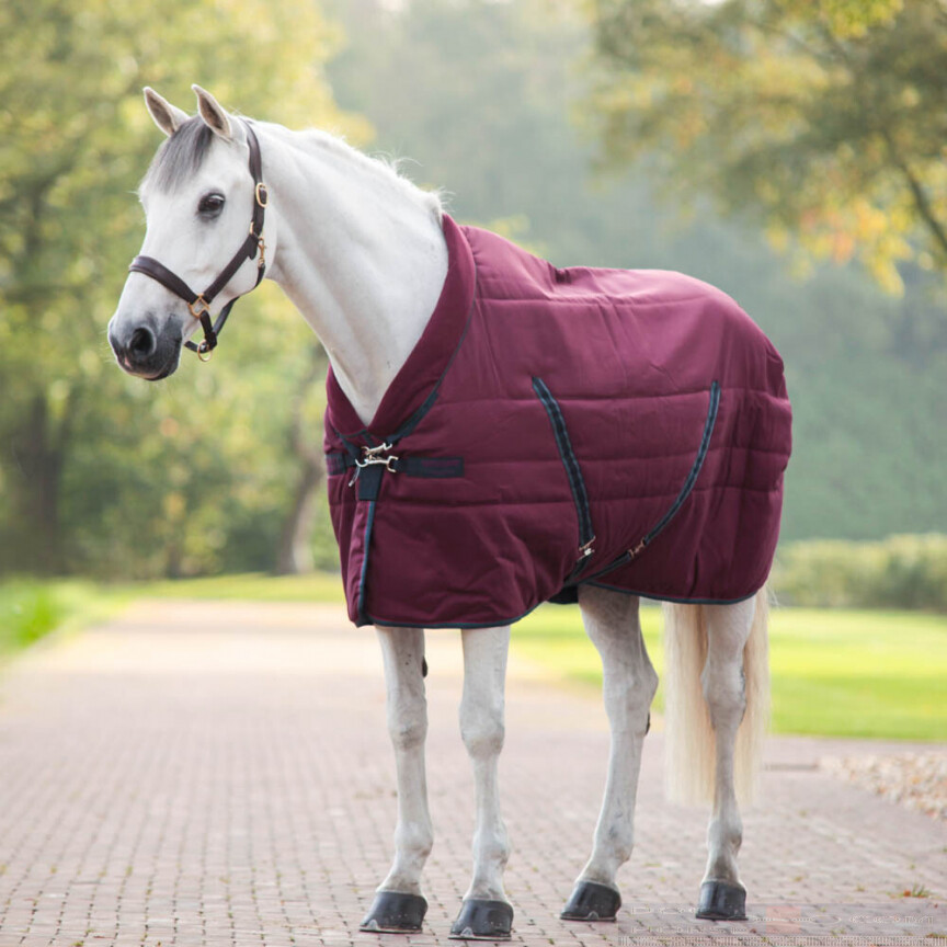 Rambo Cosy Staldeken Medium