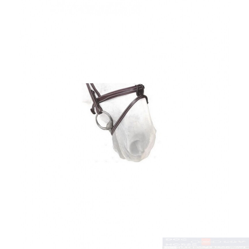 Silver crown flash noseband