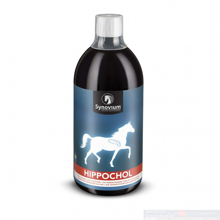 Synovium Hippochol