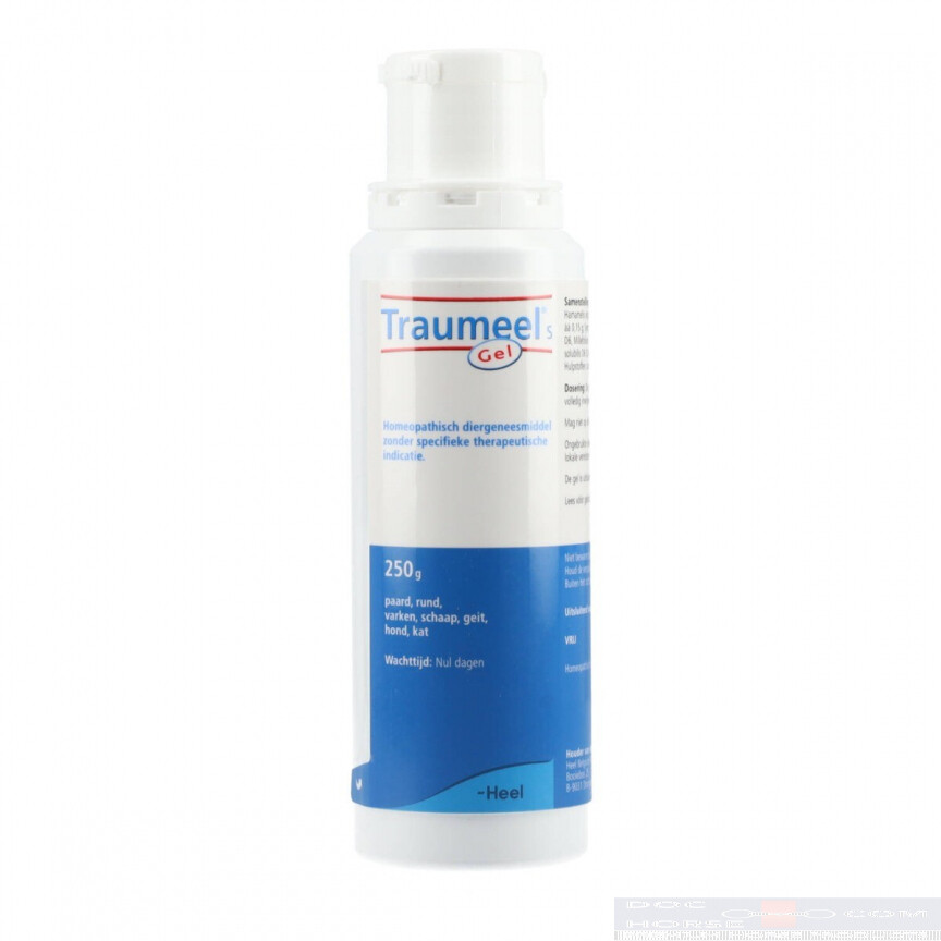 Traumeel gel Paard