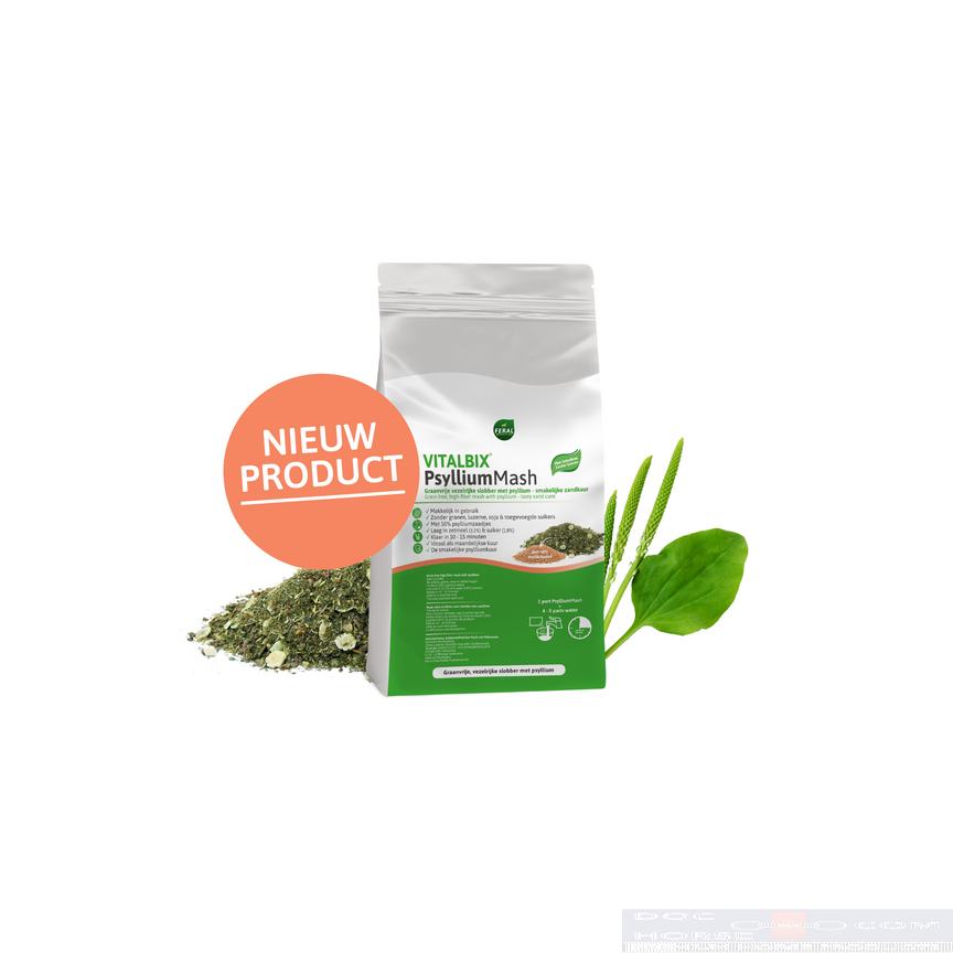 Vitalbix PsylliumMash