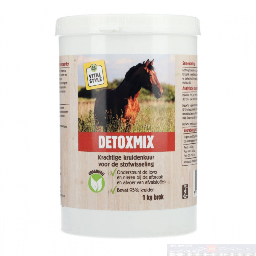 Vitalstyle Detoxmix