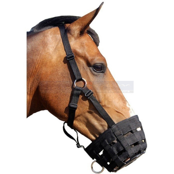 grazing muzzle for horse