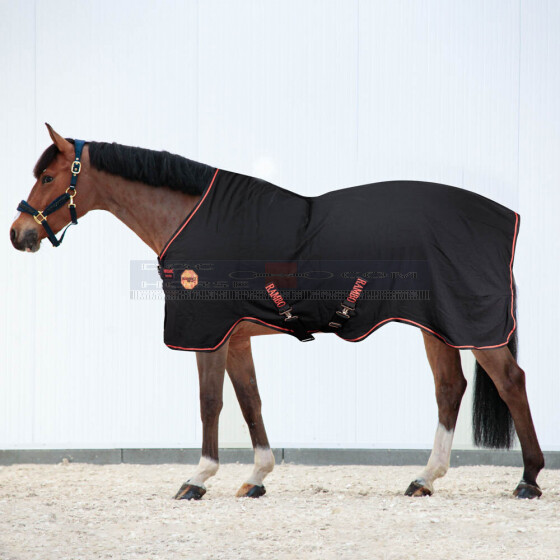 Rambo Ionic Stable Sheet Dochorse