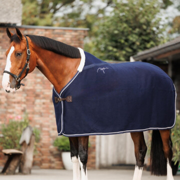 Dy'on Wool rug