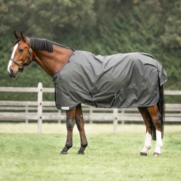 Dominick Turnout Rug 600D Cosy
