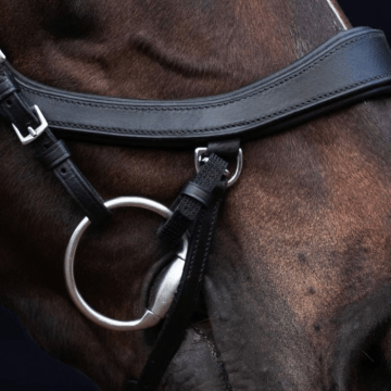 Presteq Elastische bitbandjes