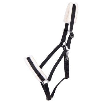 QHP Halster Cali trekpaard