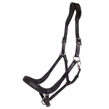 QHP Halster Salerno anatomisch