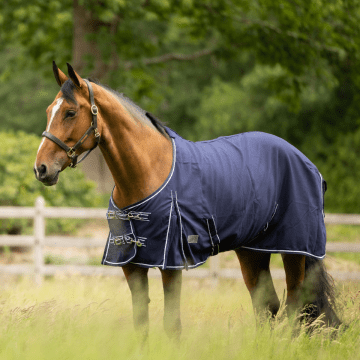 QHP Summer rug