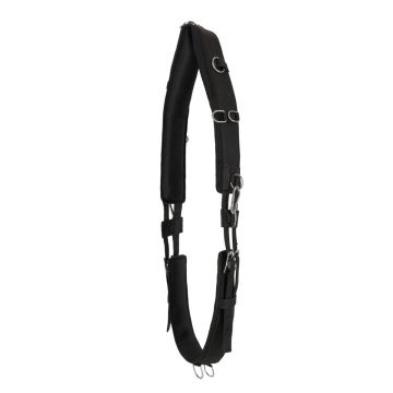 QHP Lunging Girth Padded