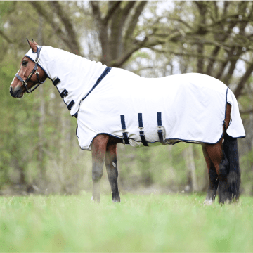 Dominick Sweet Itch Rug Elastic