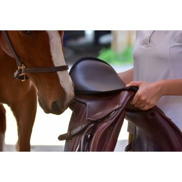 ThinLine Seat Saver ThinLine Seat Saver