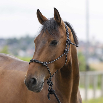 Riding World Headcollar Fine Ethological With Lead Rope