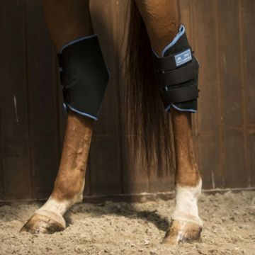 Lami-Cell Ice Boots Hock Guards