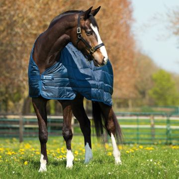 Horseware liner 300 gr