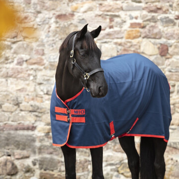 Amigo Mio Stable Sheet