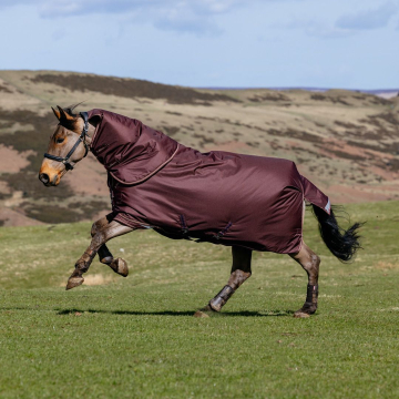 LeMieux Arika Ripstop 200g Turnout Rug