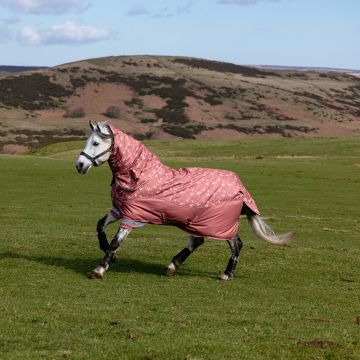 LeMieux Arika Star Turnout Rug 200g