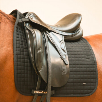 Back on Track Saddlepad Dressage No. II