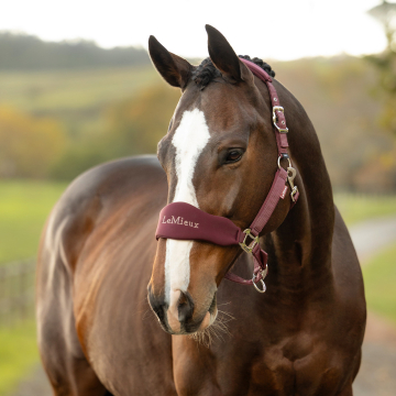 LeMieux Breakaway Vogue Headcollar & Leadrope