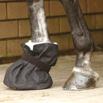 Busse Hoofbag