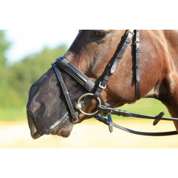 Busse Nostril cover Fly protector