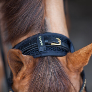 Cal rei crown / head protector