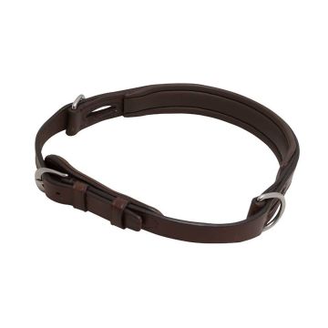 Bitloze Neusriem Hoofdstel Converter