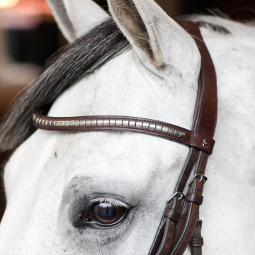 Döbert Browband Studs