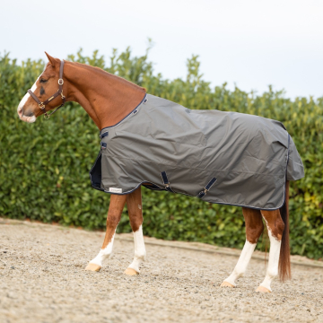 Dominick Turnout Rug 600D Cosy