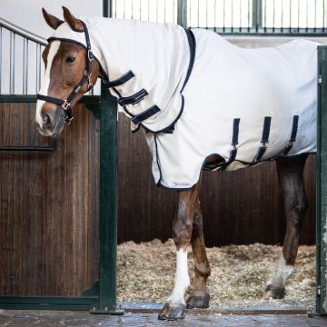 Dominick Eczeemdeken Elastic