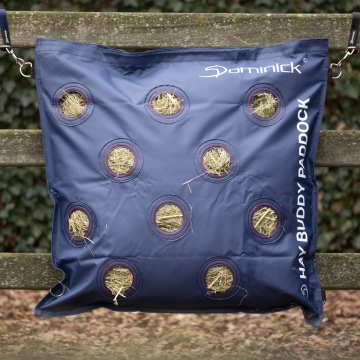 Dominick Hay Buddy Paddock Front